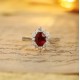 Ruif Jewelry Classic Design PT950 Platinum 1.07ct Lab Grown Ruby And 0.43ct Lab Grown Diamond Ring Wedding Bands Ruif Jewelry Classic Design PT950 Platinum 1.07ct Lab Grown Ruby And 0.43ct Lab Grown Diamond Ring Wedding Bands