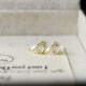 Ruif Jewelry Customized 18k Yellow Gold Natural Diamond Earrings Center Stone 0.30ct Each Wholesale price earrings