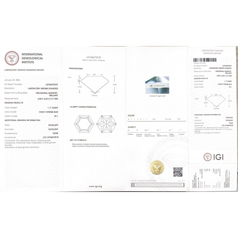 Ruif Jewelry Hexagon Cut 1.17ct Lab Grown Diamond with IGI Certificate LG766672518