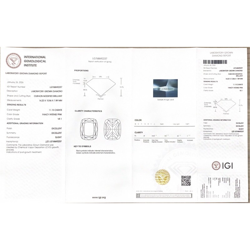 Ruif Jewelry Cushion Cut 11.15ct Lab Grown Diamond With IGI Certificate LG768692237