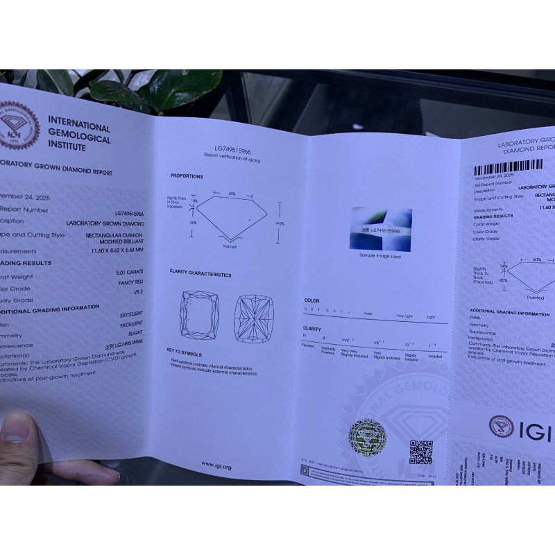 Ruif Jewelry Cushion Cut 5.01CT Red Lab Grown Diamond with IGI certificate LG749515966