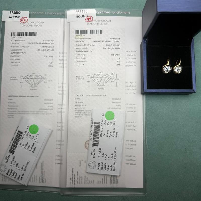 Ruif Jewelry Customized Design 18K Yellow Gold Earrings for Women 3ct CVD Lab Grown Diamond Jewelry