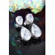 Ruif Jewelry Classic Design S925 Silver 25.4ct White Color Simulated Diamond Earrings Cubic Zircon Earrings Gemstone Jewelry Ruif Jewelry Classic Design S925 Silver 25.4ct White Color Simulated Diamond Earrings Cubic Zircon Earrings Gemstone Jewelry
