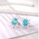 Ruif Jewelry Classic Design S925 Silver 7.102ct Lab Grown Paraiba Sapphire Earrings Gemstone Jewelry Ruif Jewelry Classic Design S925 Silver 7.102ct Lab Grown Paraiba Sapphire Earrings Gemstone Jewelry