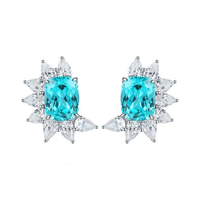 Ruif Jewelry Classic Design S925 Silver 7.102ct Lab Grown Paraiba Sapphire Earrings Gemstone Jewelry