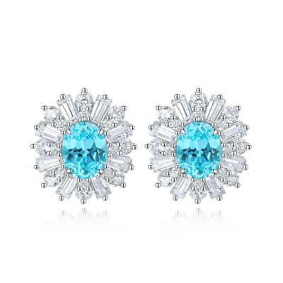 Ruif Jewelry Classic Design S925 Silver 2.69ct Lab Grown Paraiba Sapphire Earrings Gemstone Jewelry