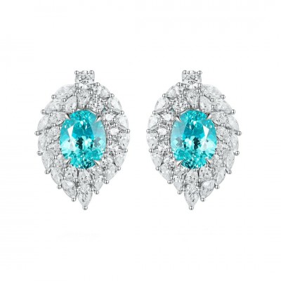 Ruif Jewelry Classic Design S925 Silver 6.35ct Lab Grown Paraiba Sapphire Earrings Gemstone Jewelry