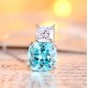 Ruif Jewelry Classic Design S925 Silver 15.55ct Lab Grown Paraiba Sapphire Earrings Gemstone Jewelry Ruif Jewelry Classic Design S925 Silver 15.55ct Lab Grown Paraiba Sapphire Earrings Gemstone Jewelry