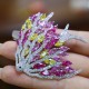 Ruif Jewelry 52x55mm Goldfish Brooch S925 Silver 5A Cubic Zircona Brooch Fashion Jewelry Ruif Jewelry 52x55mm Goldfish Brooch S925 Silver 5A Cubic Zircona Brooch Fashion Jewelry