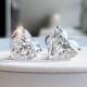 Ruif Jewelry Customized 18k White Gold 5ctx2pcs Lab Grown Diamond Earrings Heart Shape Classic Engagement Band Jewelry Ruif Jewelry Customized 18k White Gold 5ctx2pcs Lab Grown Diamond Earrings Heart Shape Classic Engagement Band Jewelry