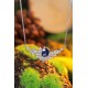 Ruif Jewelry Classic Design S925 Silver 2.715ct Royal Blue Lab Grown Sapphire Pendant Necklace Gemstone Jewelry Ruif Jewelry Classic Design S925 Silver 2.715ct Royal Blue Lab Grown Sapphire Pendant Necklace Gemstone Jewelry