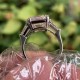 Ruif Jewelry 5ct CVD Diamond Ring 18k White Gold Ring Jewelry for Party Gift Ruif Jewelry 5ct CVD Diamond Ring 18k White Gold Ring Jewelry for Party Gift