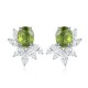 Ruif Jewelry Classic Design S925 Silver 6.44ct Natural Garnet/5.72ct Natural Peridot Earrings Gemstone Jewelry Ruif Jewelry Classic Design S925 Silver 6.44ct Natural Garnet/5.72ct Natural Peridot Earrings Gemstone Jewelry