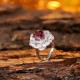 Ruif Jewelry Classic Design S925 Silver 3.81ct Natural Garnet Ring Gemstone Jewelry Ruif Jewelry Classic Design S925 Silver 3.81ct Natural Garnet Ring Gemstone Jewelry