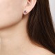 Ruif Jewelry Classic Design S925 Silver 2.44ct Natural Garnet Earrings Gemstone Jewelry