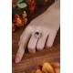 Ruif Jewelry Classic Design S925 Silver 2.21ct Natural Garnet Ring Gemstone Jewelry
